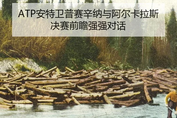 ATP安特卫普赛辛纳与阿尔卡拉斯决赛前瞻强强对话