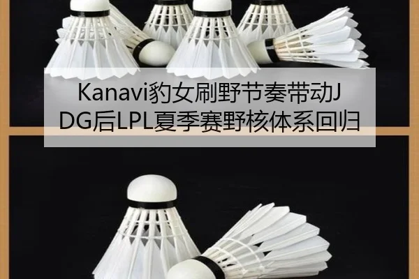 Kanavi豹女刷野节奏带动JDG后LPL夏季赛野核体系回归